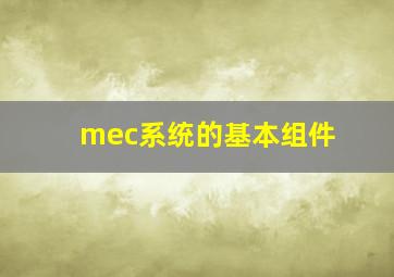 mec系统的基本组件