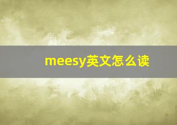 meesy英文怎么读