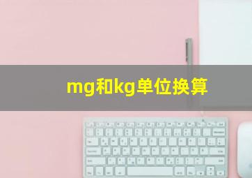 mg和kg单位换算