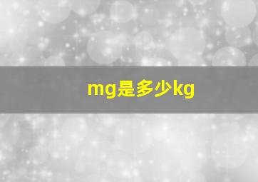 mg是多少kg