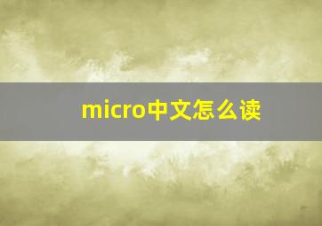 micro中文怎么读