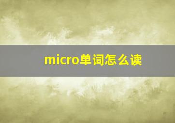 micro单词怎么读