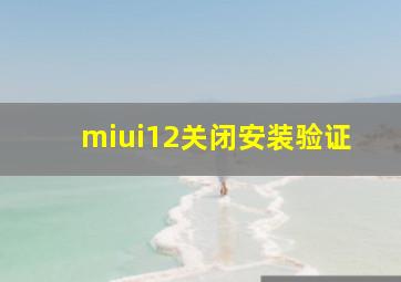 miui12关闭安装验证