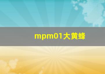 mpm01大黄蜂