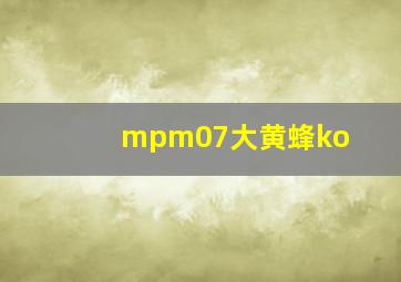 mpm07大黄蜂ko