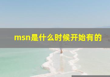 msn是什么时候开始有的