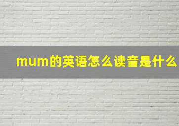 mum的英语怎么读音是什么