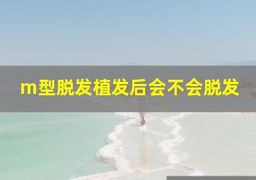 m型脱发植发后会不会脱发