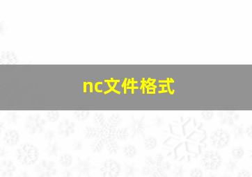 nc文件格式