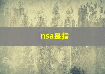 nsa是指