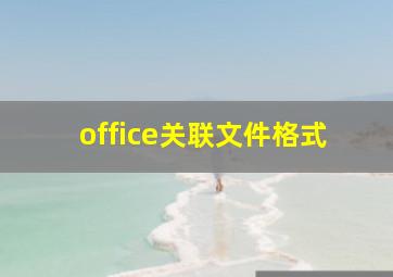 office关联文件格式