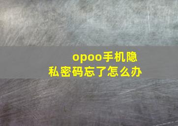 opoo手机隐私密码忘了怎么办