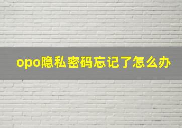 opo隐私密码忘记了怎么办