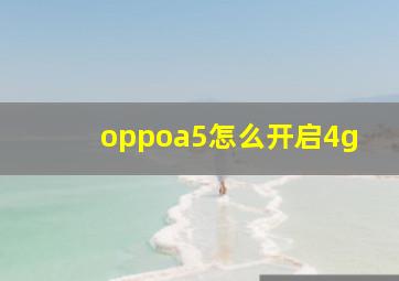 oppoa5怎么开启4g