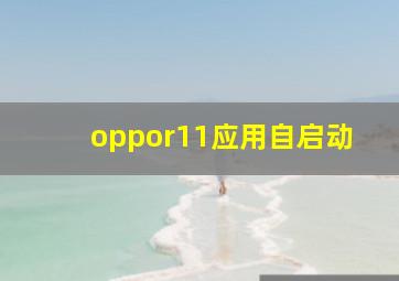 oppor11应用自启动