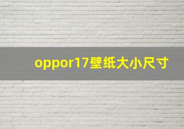 oppor17壁纸大小尺寸