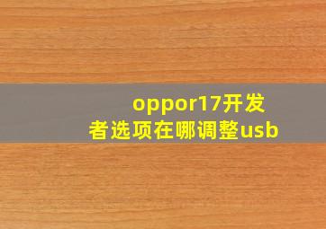 oppor17开发者选项在哪调整usb