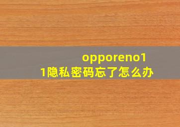 opporeno11隐私密码忘了怎么办