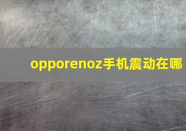 opporenoz手机震动在哪