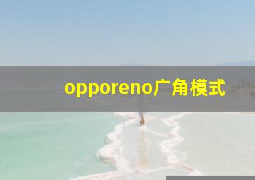 opporeno广角模式