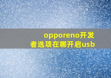 opporeno开发者选项在哪开启usb