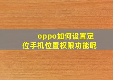 oppo如何设置定位手机位置权限功能呢