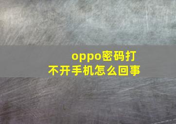 oppo密码打不开手机怎么回事