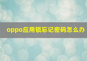 oppo应用锁忘记密码怎么办