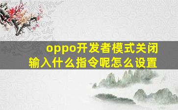 oppo开发者模式关闭输入什么指令呢怎么设置