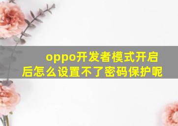 oppo开发者模式开启后怎么设置不了密码保护呢