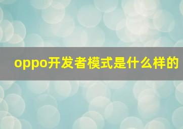 oppo开发者模式是什么样的