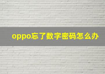 oppo忘了数字密码怎么办