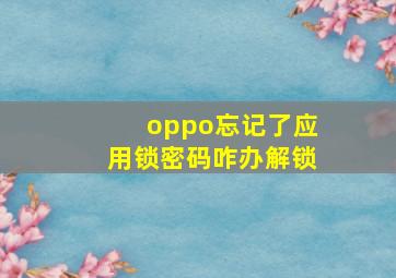 oppo忘记了应用锁密码咋办解锁