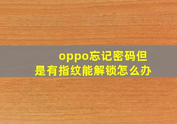 oppo忘记密码但是有指纹能解锁怎么办