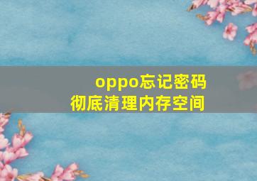 oppo忘记密码彻底清理内存空间