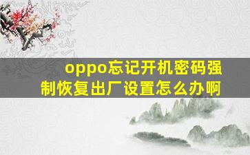 oppo忘记开机密码强制恢复出厂设置怎么办啊