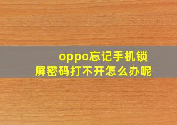 oppo忘记手机锁屏密码打不开怎么办呢