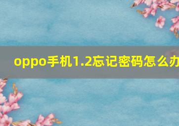 oppo手机1.2忘记密码怎么办