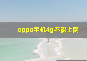 oppo手机4g不能上网