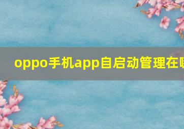 oppo手机app自启动管理在哪