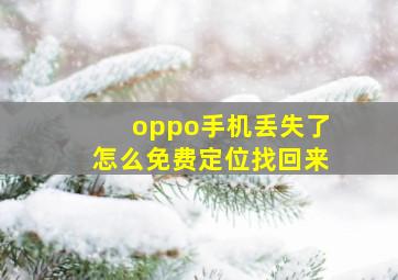 oppo手机丢失了怎么免费定位找回来