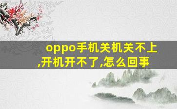 oppo手机关机关不上,开机开不了,怎么回事