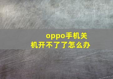 oppo手机关机开不了了怎么办