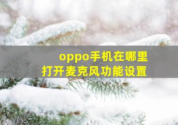 oppo手机在哪里打开麦克风功能设置