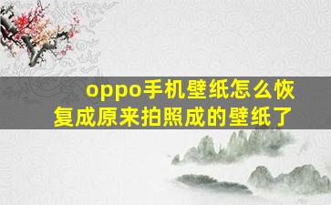 oppo手机壁纸怎么恢复成原来拍照成的壁纸了