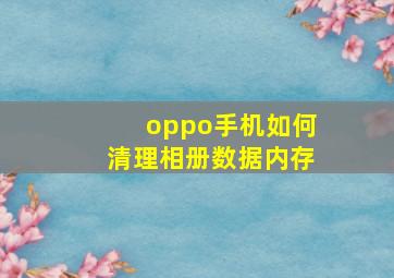 oppo手机如何清理相册数据内存