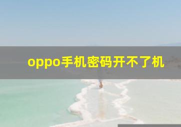 oppo手机密码开不了机