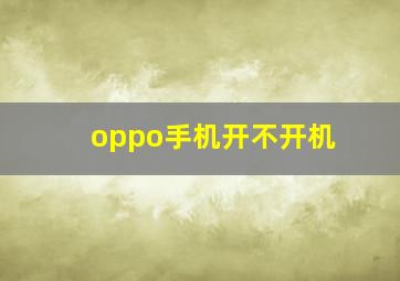 oppo手机开不开机