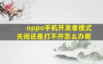 oppo手机开发者模式关闭还是打不开怎么办呢