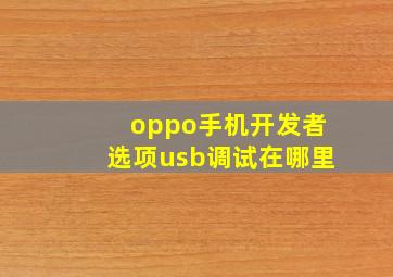 oppo手机开发者选项usb调试在哪里